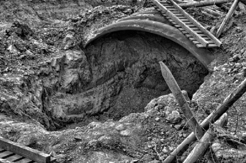 A.Passchendaele themaw. (23)
